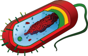 pathogen, causative agent, germ-296502.jpg